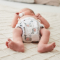 Preview: Blümchen try out package newborn fitted diapers