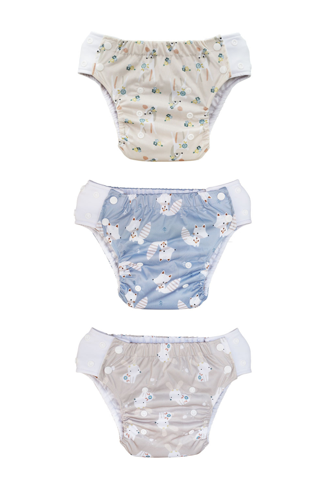 Blümchen Pull-up Pant Harmony (5-15kg) - Schwimmwindel + Trainer - recycled PES